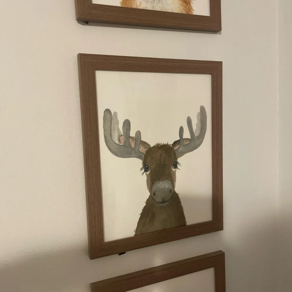 Set of 8 Framed Baby Animal Art Prints